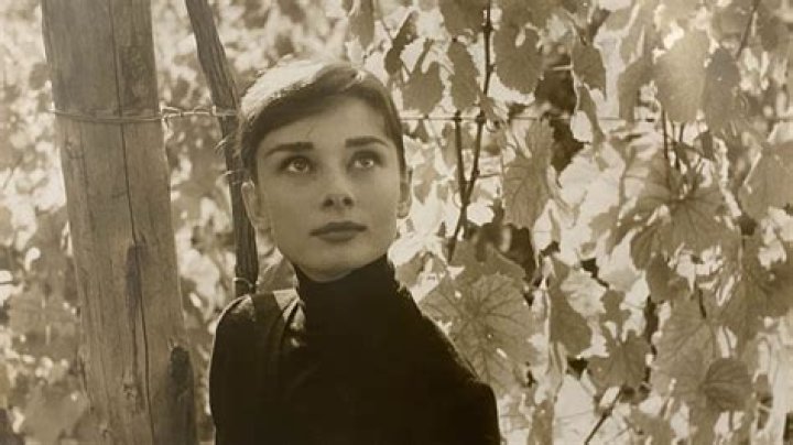 Audrey Hepburn's Final Photo Unveils Hidden Truths