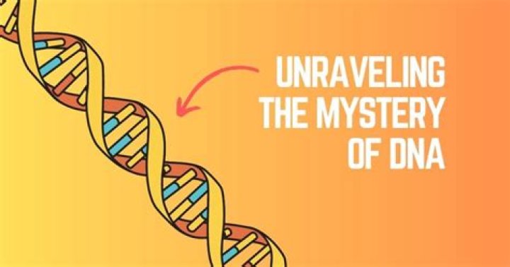 Unraveling The Mysteries Of Erin Napier's Daughter's Illness